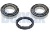 FIAT 4096587 Wheel Bearing Kit